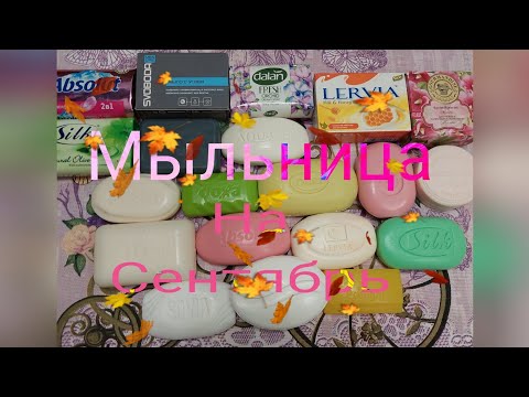 Видео: Мыльница на Сентябрь 🍁☕🍂🍃