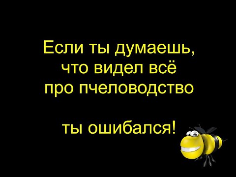 Видео: Редчайшая особенность альпийского улья