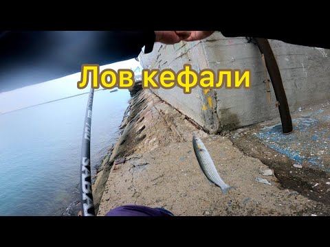 Видео: Лов кефали(чуларки) в порту на поплавок. Черное море г. Туапсе.