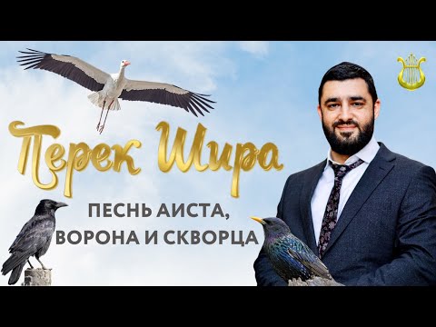 Видео: 🐦‍⬛Перек Шира: Песнь аиста ворона и скворца  (Рав Исраэль Якобов) Цикл: Песнь Творения. #38