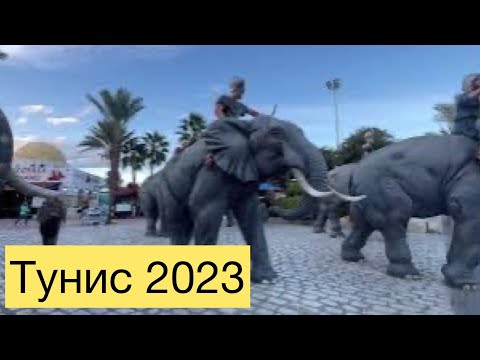 Видео: Хаммамет в контрасте.Чечетка в Африке. Развлечения в отеле Steigenberger 5⭐️