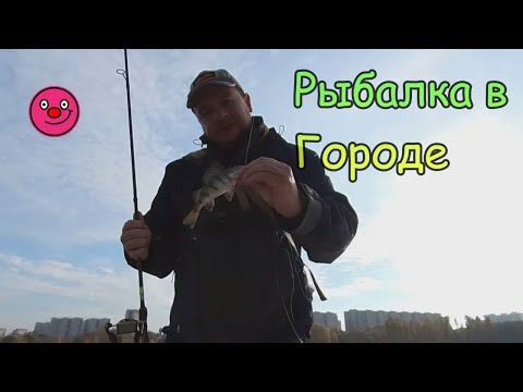Видео: Рыбалка в Москве! Простая Рыбалка. Рыбалка в Марьино!