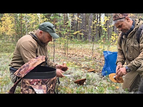Видео: ГРИБЫ НА БОРУ ОСЕНЬЮ. ЗАШЛИ НА ЗАБРОШЕННОЕ КЛАДБИЩЕ, ПРОВЕДАЛИ МОГИЛЫ. ДО БОРА НА ЛОДКЕ ПО РЕКЕ.