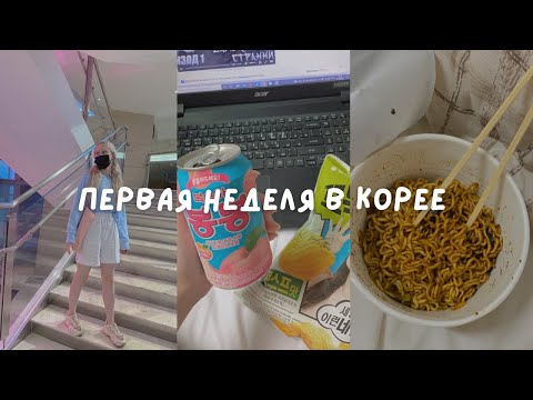 Видео: vlog: первая неделя в Корее | показываю, куда переехала