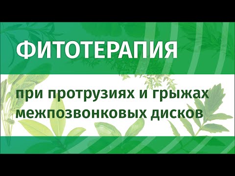Видео: Фитотерапия протрузий и грыж межпозвонковых дисков