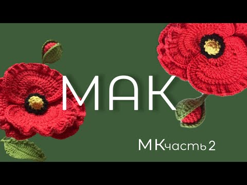 Видео: Мастер класс по вязанию МАКА крючком I часть 2