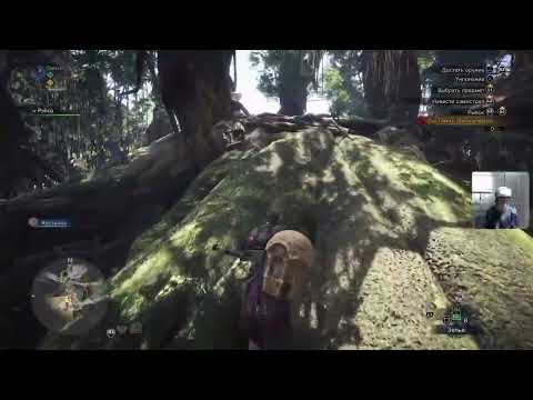 Видео: Прохождение Monster Hunter: World - 58