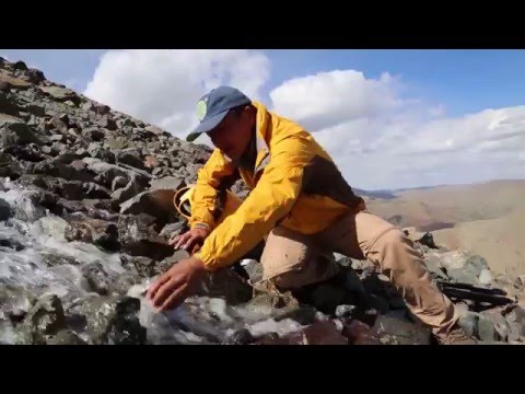 Видео: Аяллын жим, Отгонтэнгэр - aylaliin jim, Otgontenger