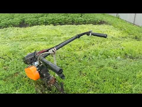 Видео: 4 междурядная обработка чеснока мотоблоком.  Состояние чеснока на 30 июня.