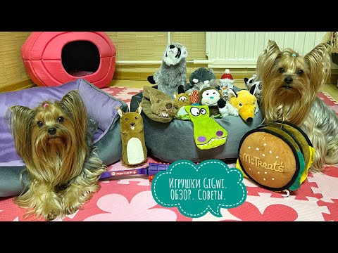 Видео: Игрушки для собак GIGWI. Уникальный обзор после пользования. Советы по выбору.