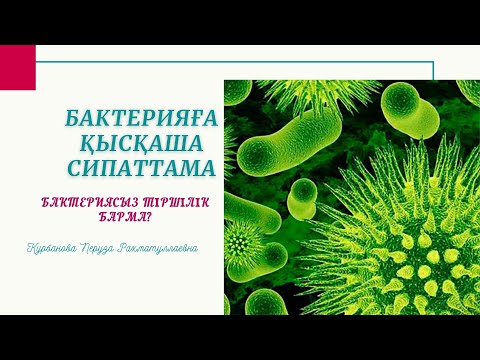 Видео: Бактериялар әлемі