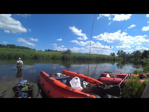Видео: Алкосплав. Неизданное