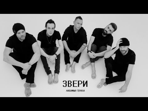 Видео: Звери - Любимые Треки