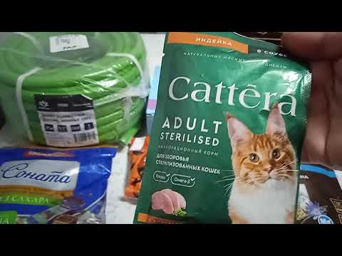 Видео: Вайлдберриз, Озон мои классные, нужные покупки 💞💖💗