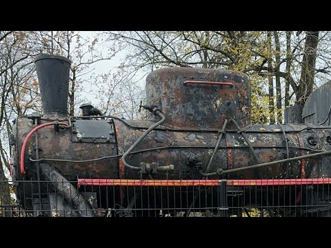 Видео: Прогулка с Ксенией Хаапсалу