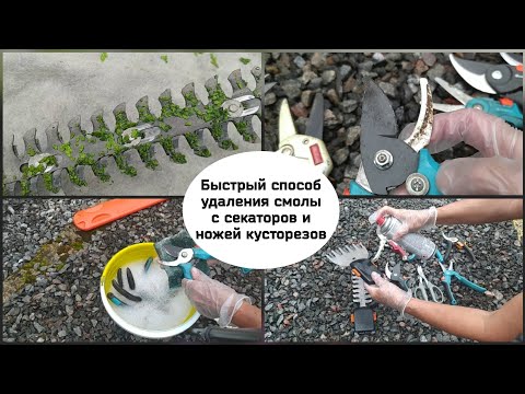 Видео: Быстрый способ удаления смолы с секаторов и ножей кусторезов
