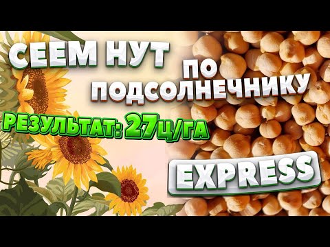 Видео: Сеем НУТ после подсолнечника под EXPRESS