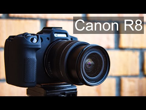Видео: Весенний лес, пни и мох на Canon R8