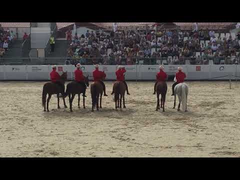 Видео: Без седла и узды. Всадники Кремлёвской школы верховой езды.