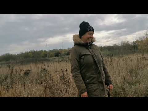 Видео: Оце так грибалка! Давно такого не було! 23.10.2025. Печериці. Рядовка сіра. Мяслята. 