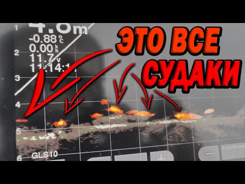 Видео: Это все СУДАКИ! Первый опыт зимой с Panoptix