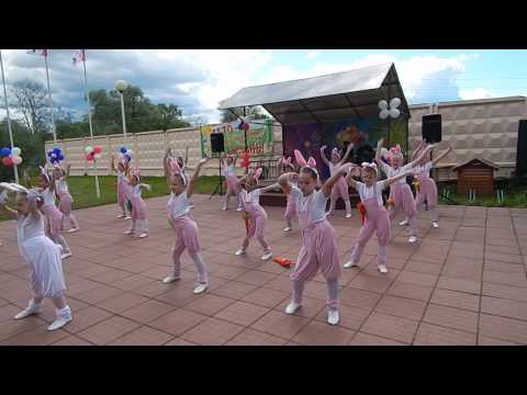 Видео: Тусовка зайцев (кадетки)