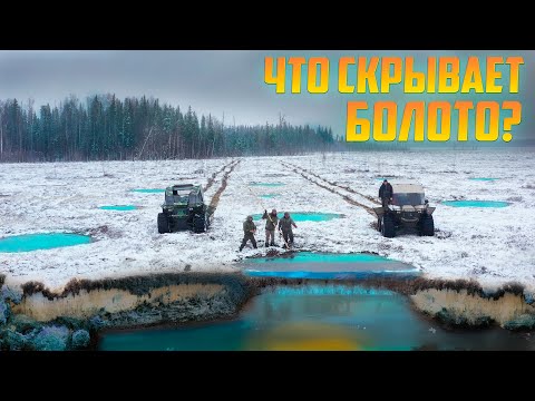 Видео: ЧТО СКРЫВАЕТ БОЛОТО?  Почему сгорел леспромхозный посёлок?