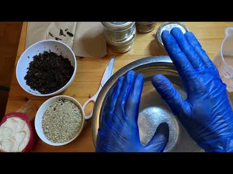 Видео: 🍄PooCake TEK, часть 1: Самый простой способ вырастить грибы, любящие навоз!💩