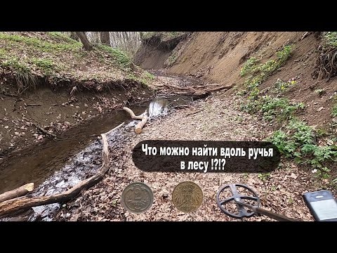 Видео: Что можно найти в лесу . Коп вдоль ручья . Коп как есть !!