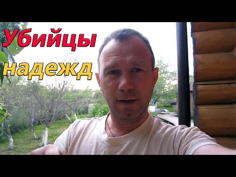 Видео: Какую выбрать баню: баню-бочку, из минибруса или бревна?