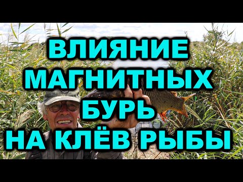 Видео: Влияние магнитных бурь на клёв рыбы