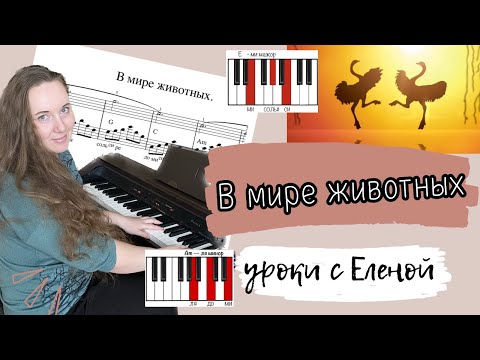 Видео: 🔥 В МИРЕ ЖИВОТНЫХ на 🎹 для НАЧИНАЮЩИХ