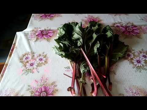 Видео: Рецепт пирога из ревеня