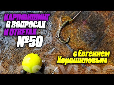 Видео: Карпфишинг в вопросах и ответах #50, Колесников А. и Хорошилов Е.