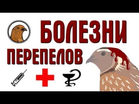 Видео: БОЛЕЗНИ ПЕРЕПЕЛОВ. СМЕРТЬ ФЕРМЫ.