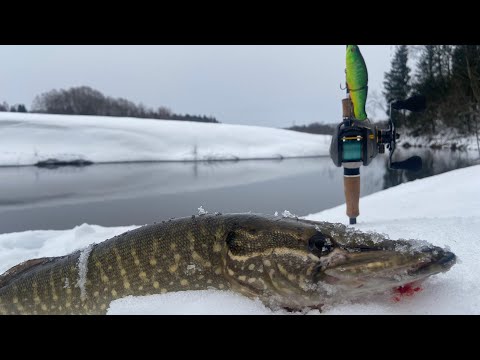 Видео: Малые реки ПРОДОЛЖАЮТ РАДОВАТЬ! Ловля ЩУКА на СПИННИНГ зимой! Рыбалка на спиннинг, ВОБЛЕРЫ, ДЖИГ!