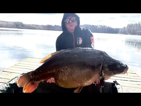 Видео: Піймав КОНЯ! Новий РЕКОРД! Піймати ВЕЛИКОГО КОРОПА в холодній воді - фантастична риболовля!