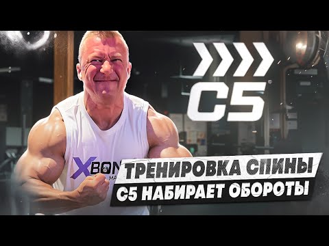 Видео: СПИНА | АКТУАЛЬНАЯ ФОРМА | С5 ПРИВЕЗ УНИКАЛЬНЫЕ ДОБАВКИ