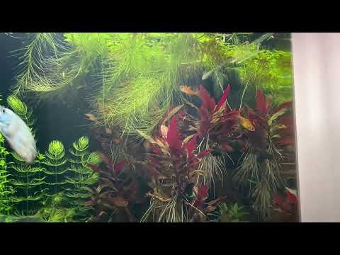 Видео: 21 октября 2025 г.