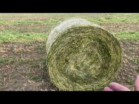 Видео: Заготовка кормов - стратегия и тактика