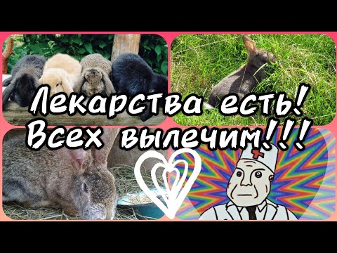 Видео: Миксоматоз у кроликов! Как лечить???