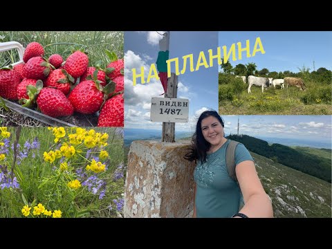 Видео: До връх Виден - първенец на Конявска планина