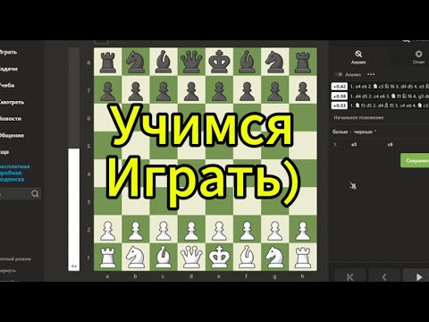 Видео: Учимся играть в шахматы) #1