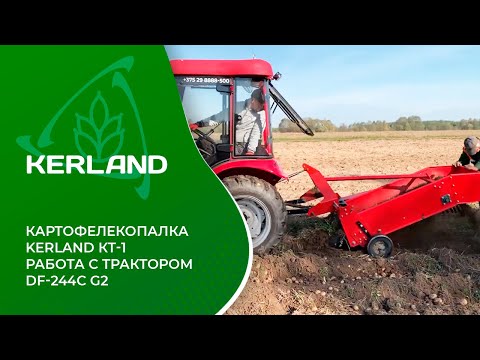 Видео: 🔥 Картофелекопалка Kerland KT-1 в работе с трактором Dongfeng DF-244С G2