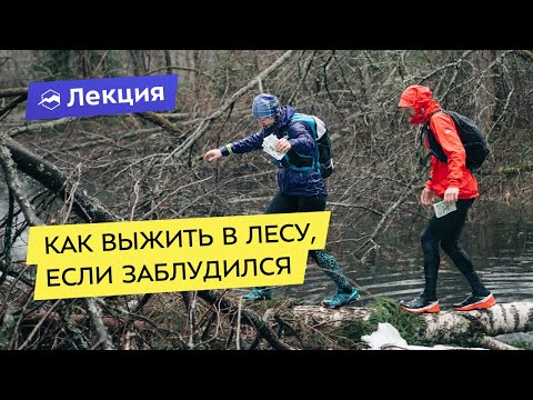 Видео: Как выжить в лесу, если вы заблудились