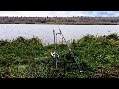 Видео: ТАКТИКА ЛОВЛІ КОРОПА в ЖОВТНІ