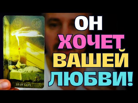 Видео: Молодой и Прыткий Хочет Вашей Любви!😍 Дать или Отказать?😱