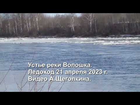 Видео: Устье реки Волошка. Ледоход 21 апреля 2023 г.