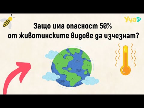Видео: Защо има опасност 50% от животинските видове да изчезнат?