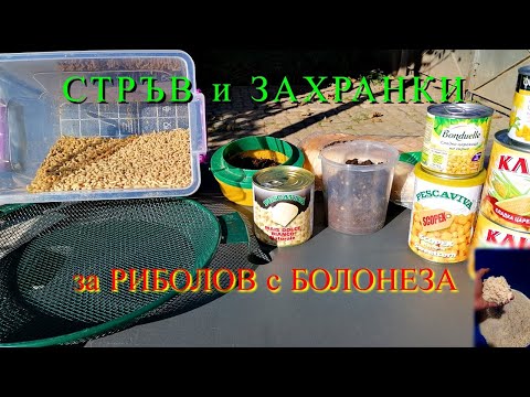 Видео: СТРЪВ И ЗАХРАНКИ за Риболов с БОЛОНЕЗА - Как да ловим СКОБАР МОРУНАЖ КЕФАЛ И МРЯНА през зимата